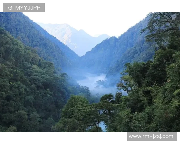 雄鹿的栖息地保护与生态平衡对森林生态系统的重要影响